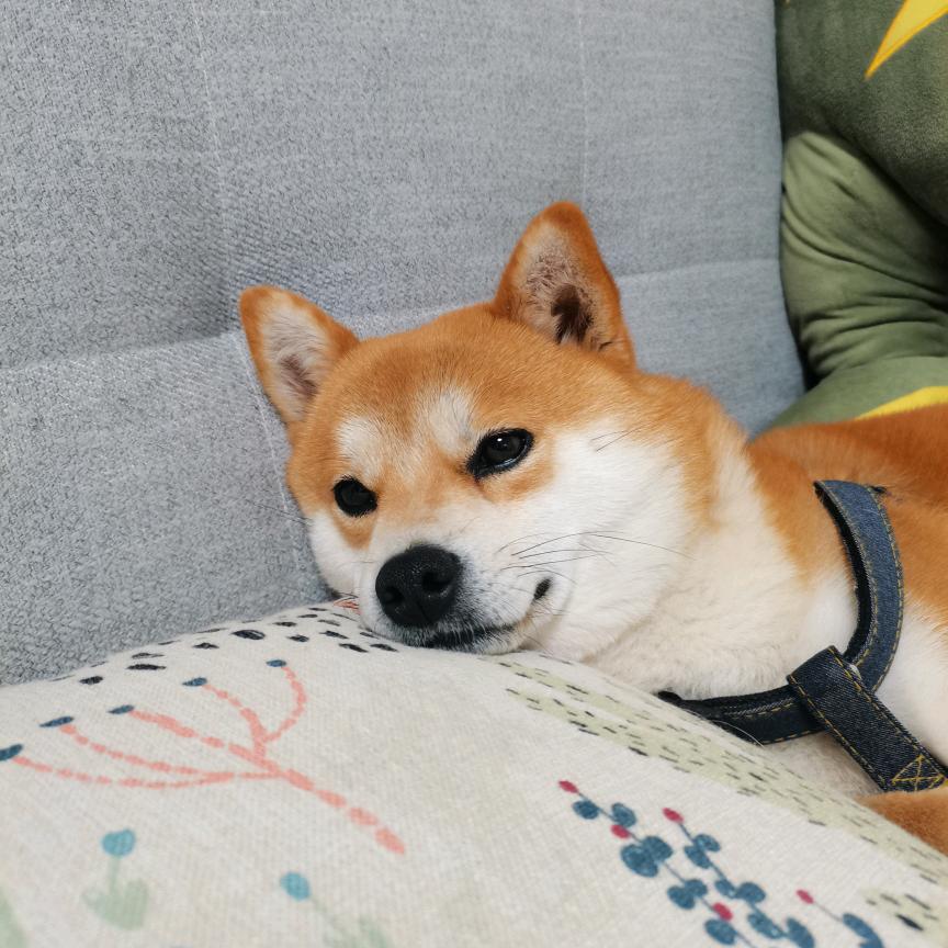 ミ温柔控ゆ