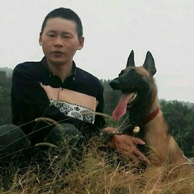 平江老徐犬舍（宠物繁训基地）