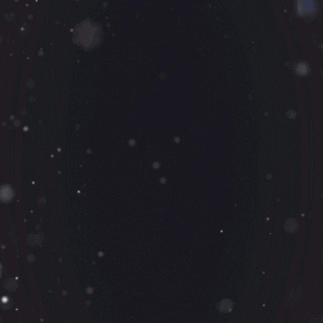 㜂孞