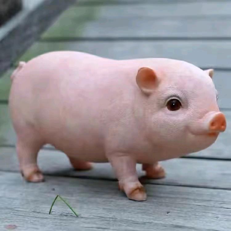 ღ①᭄小趴菜ღ①᭄💋