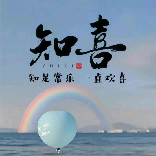 知喜书语
