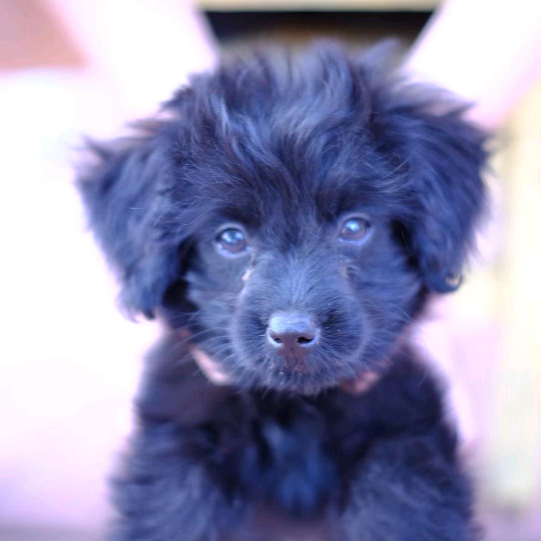 齐总今天不断更