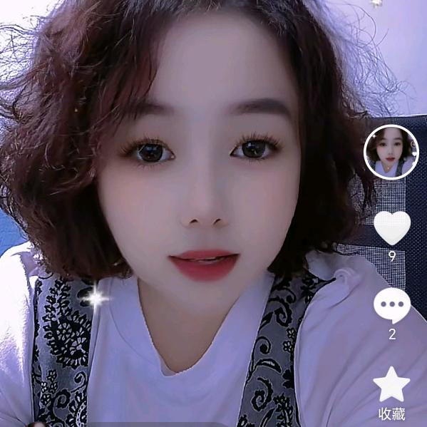 小小鸟