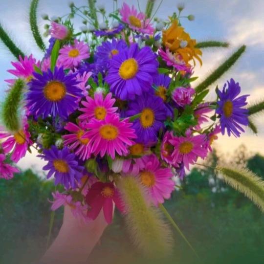 放手也是一种幸福