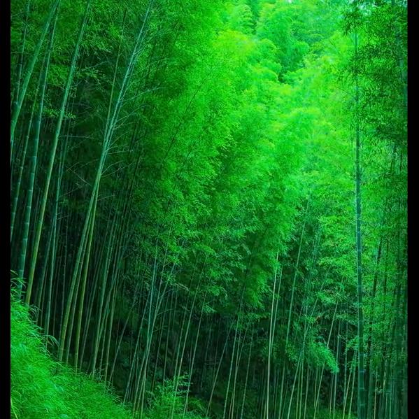 君子笑天下