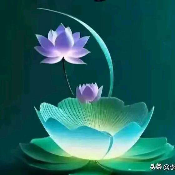 佛前莲