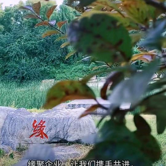 喜酒天地缘✌✌