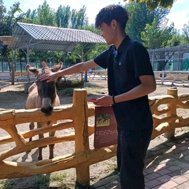 对方正在输入…
