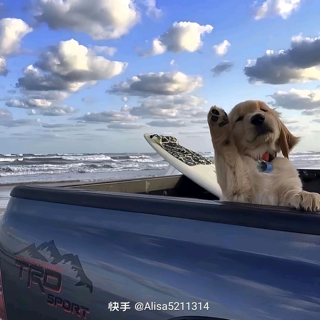 抖音小哥