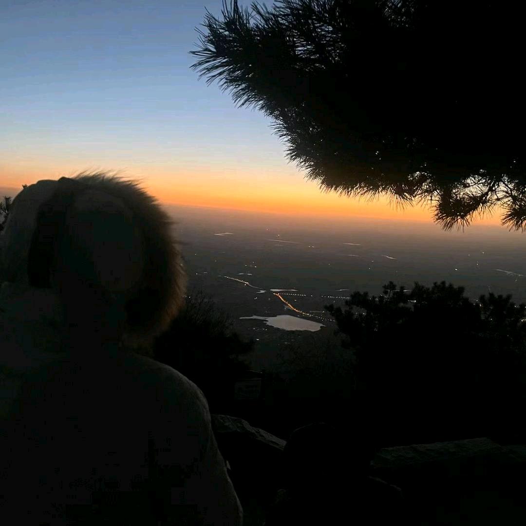 迷鹿看剧