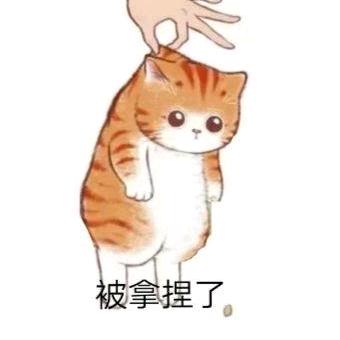 木