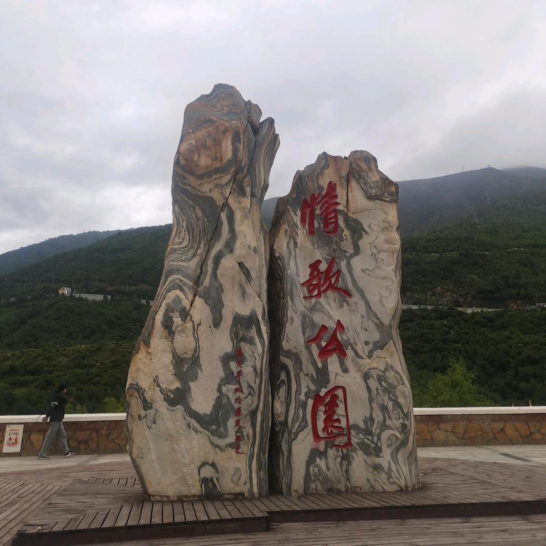 飞哥