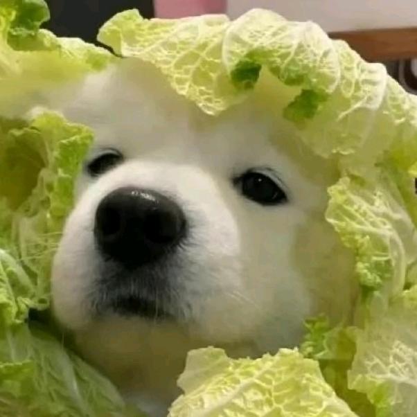 娜©©