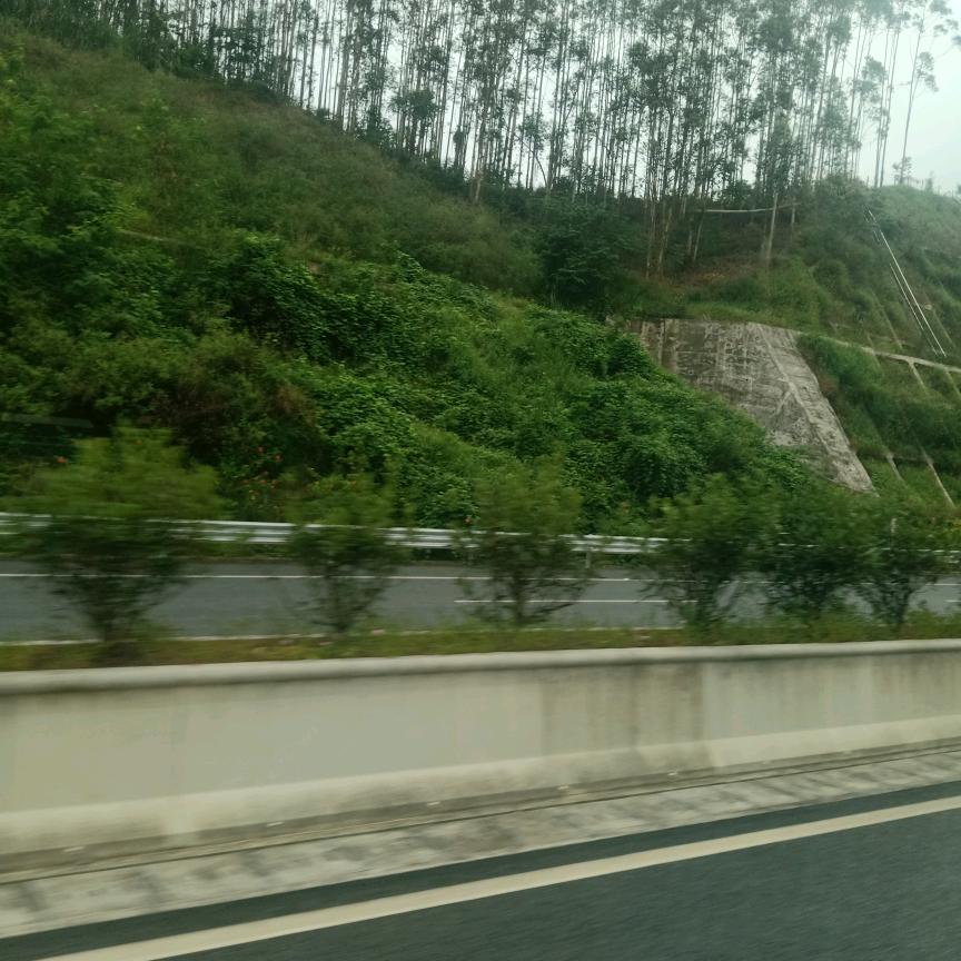 张学鹏