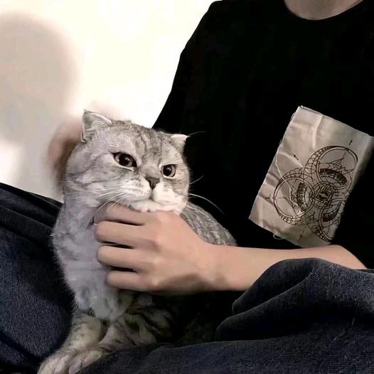 以花花子之名