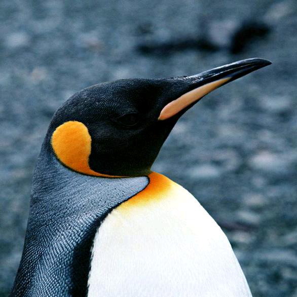 1234