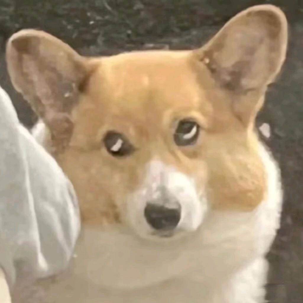 你不认识我