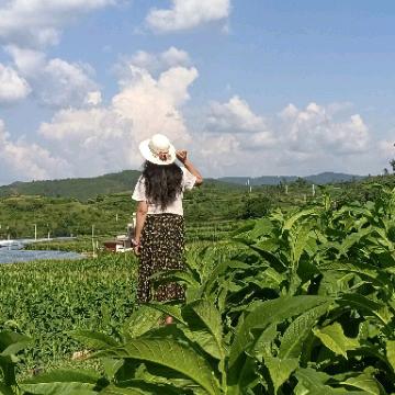 开客栈的ꕥ᭄小梅姐