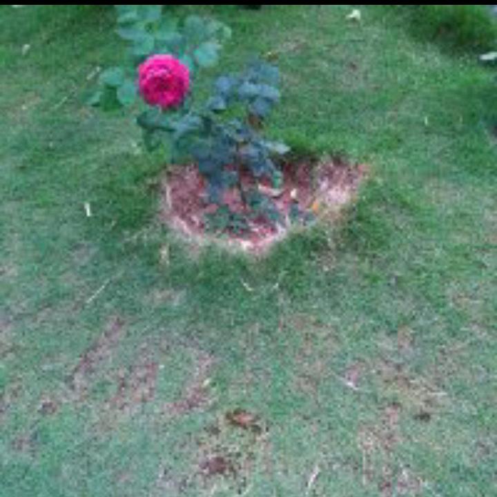 遗憾的我，我的人生很失败，