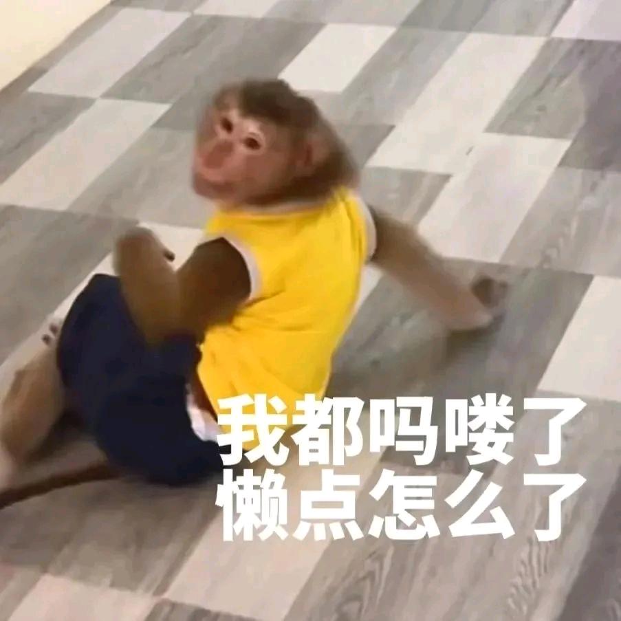 桥言呐