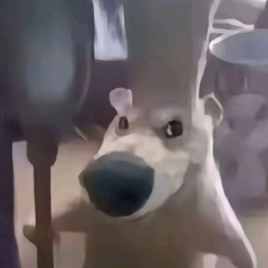 抓牛蹄酱