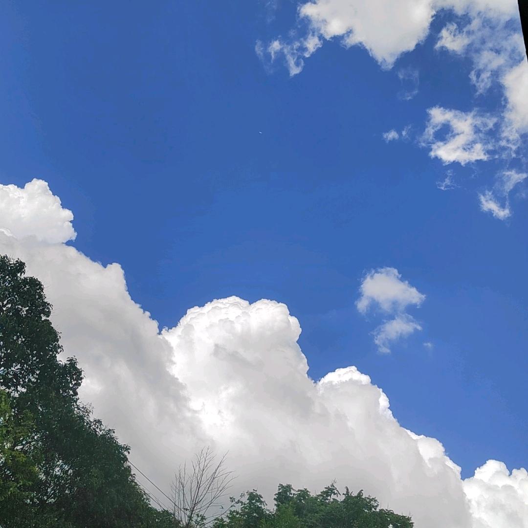 锡城强哥