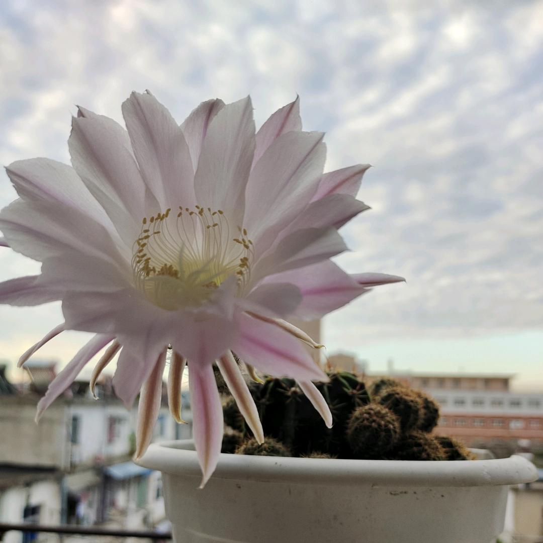 一方清雅，太湖装修