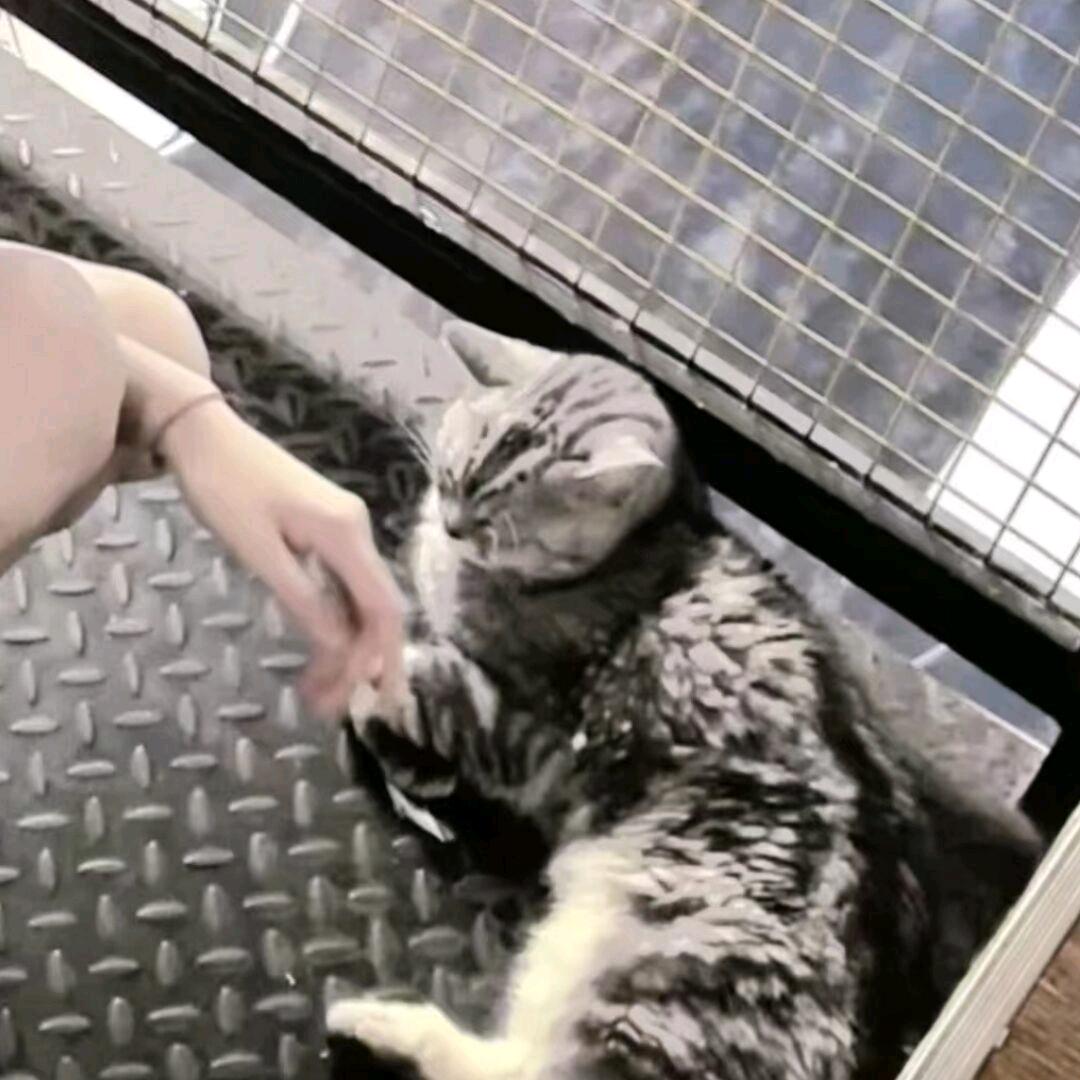 ᰔᩚ落单恋人
