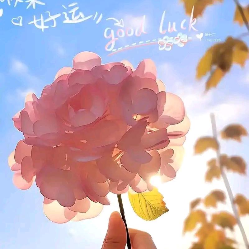梦醒云花🍑