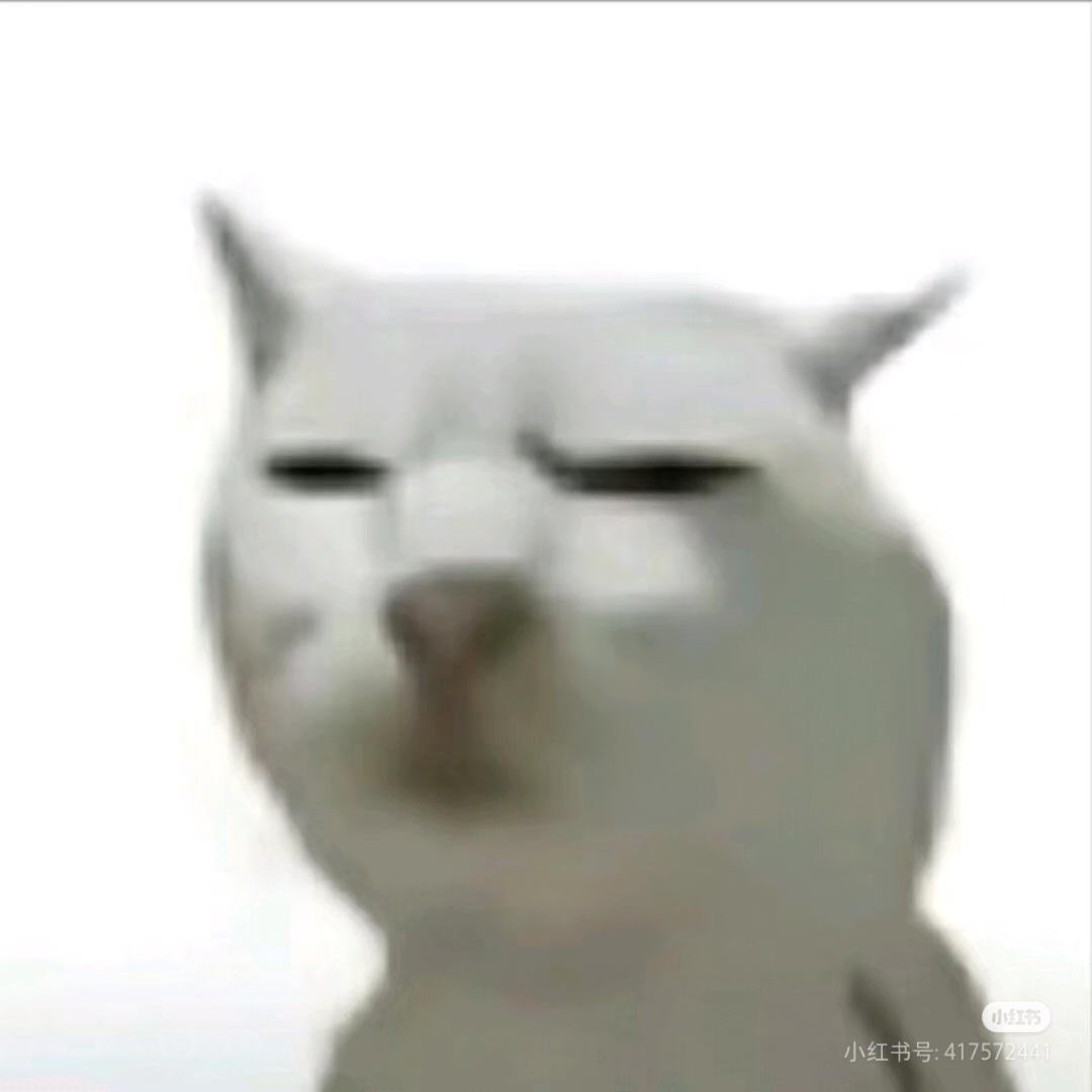 十二月的十二点醒