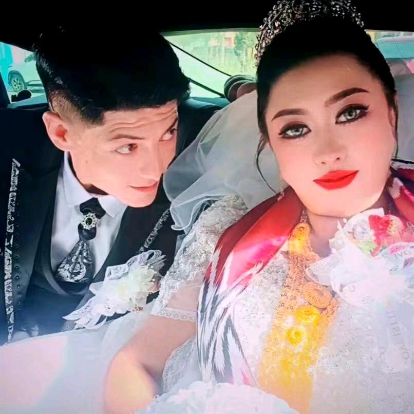 母老虎