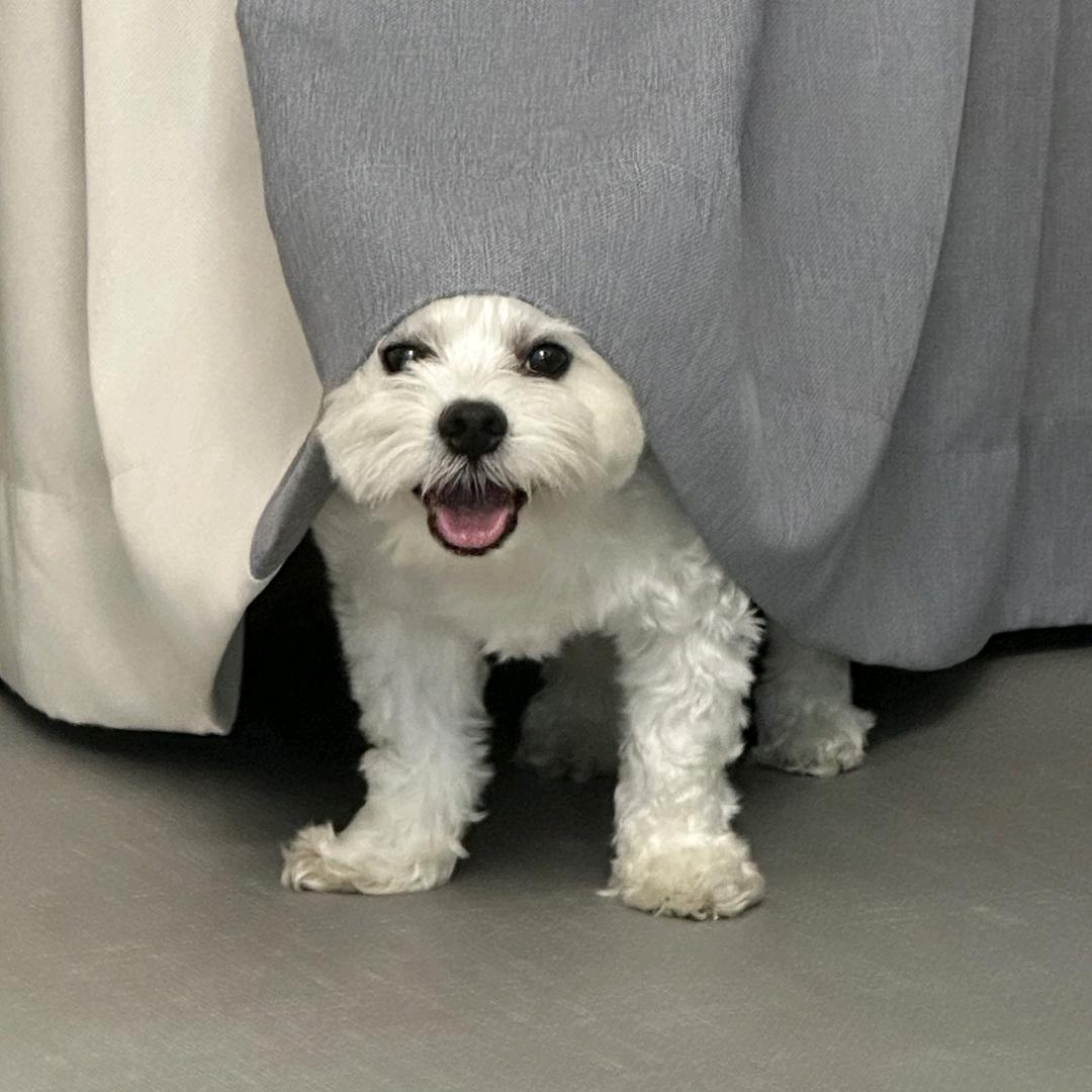 元元的唯一小宠妃onlyone