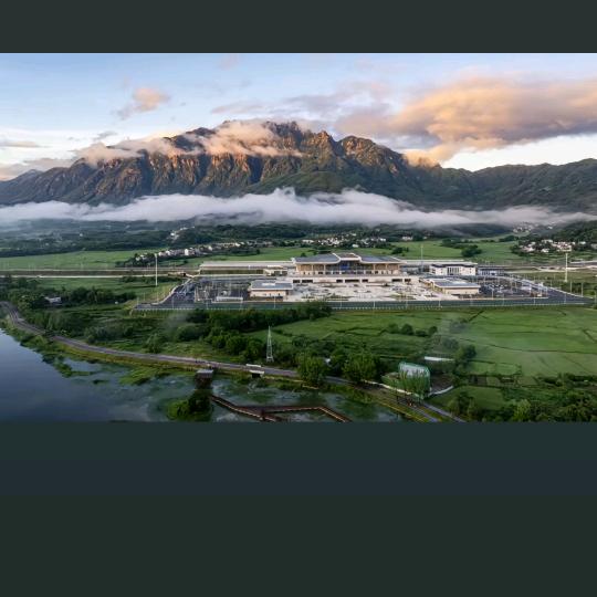 青阳熊四(专属味道)