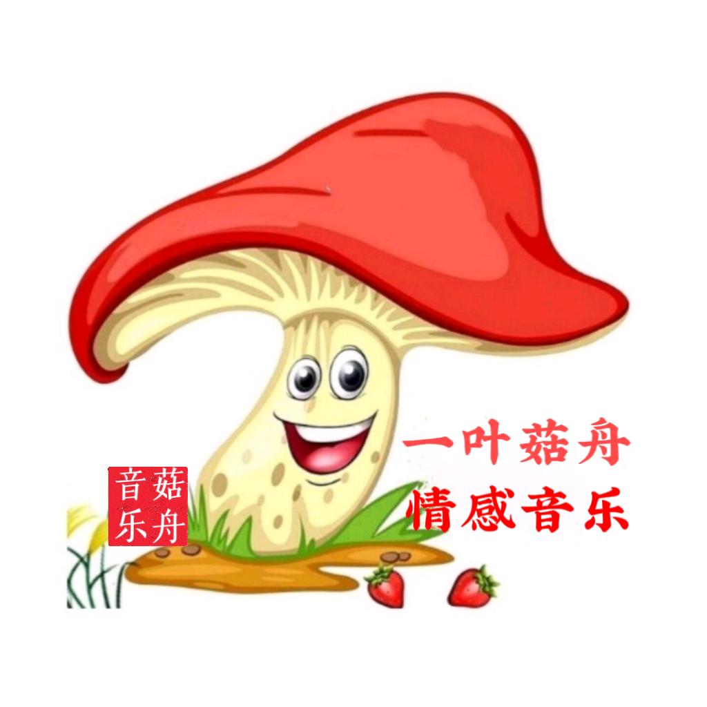 一叶菇舟