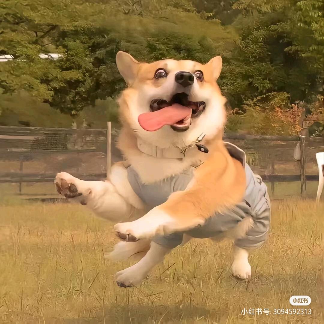 小小先生