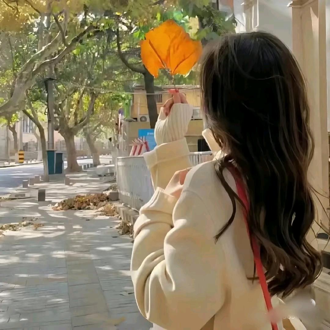 曦