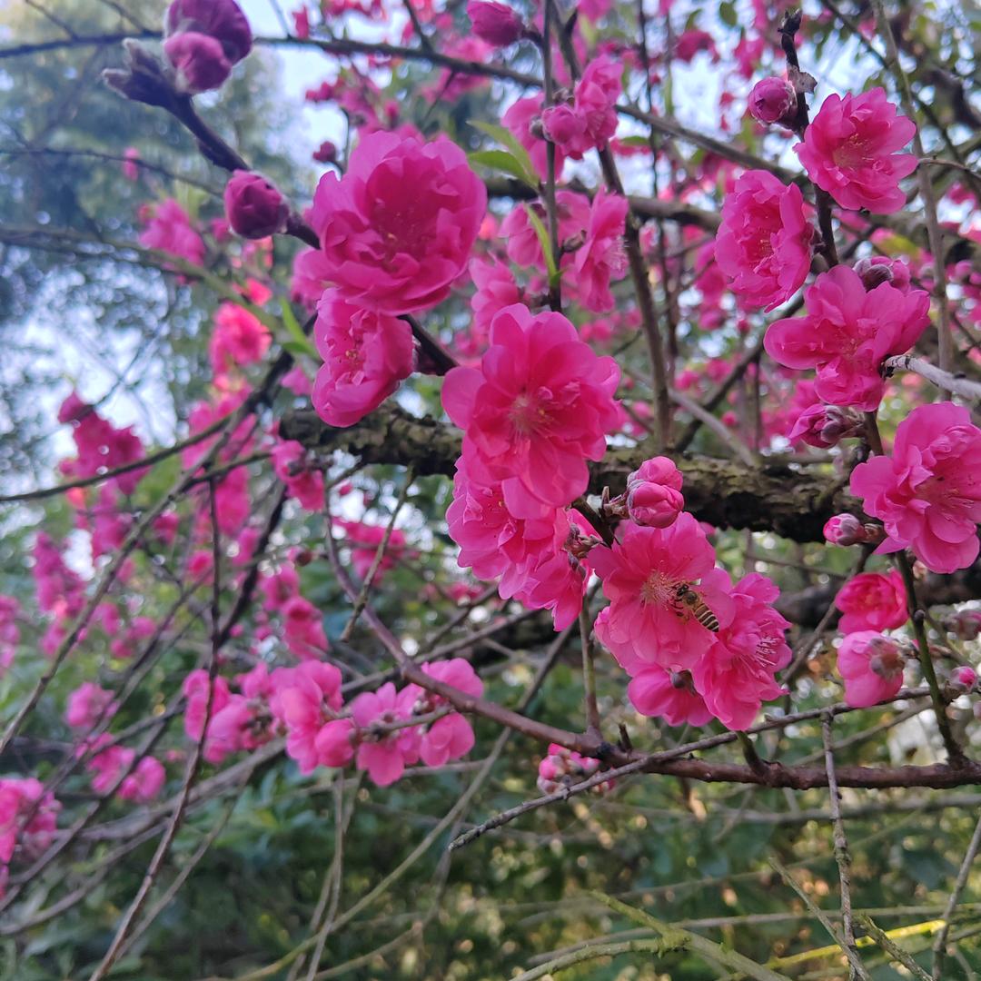 好玩