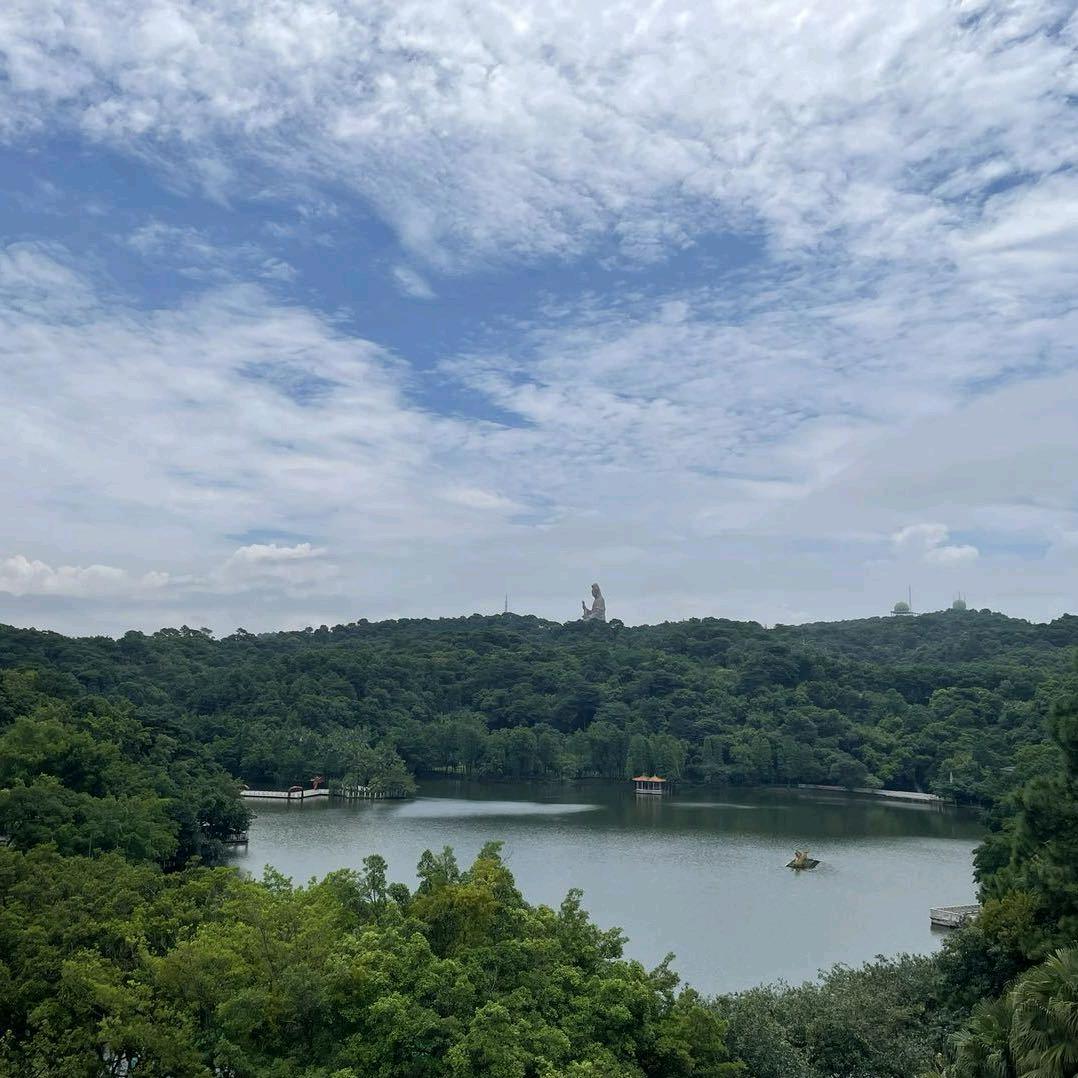 大德净水&樱花卫厨&橱柜