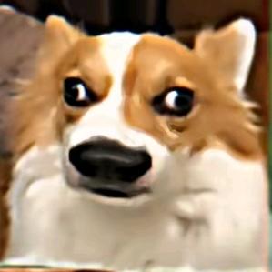 ⫍ ⃢👁ܫ👁⃢ ⫎钻井生活