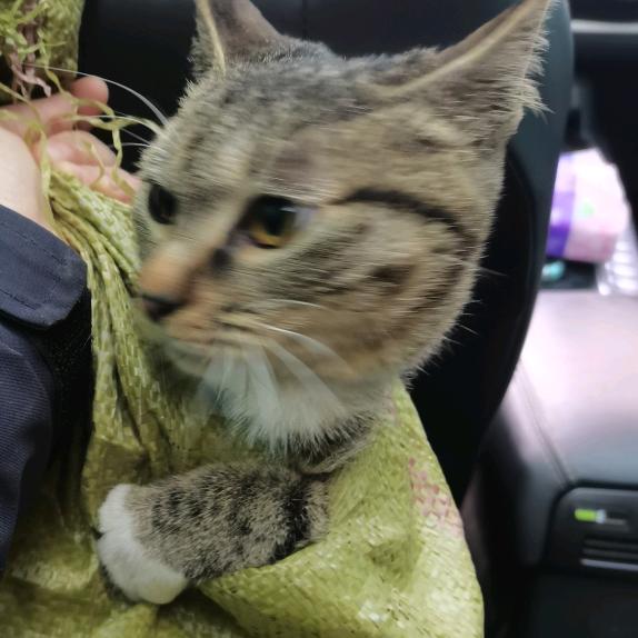 放屁崩死讨厌嘞人