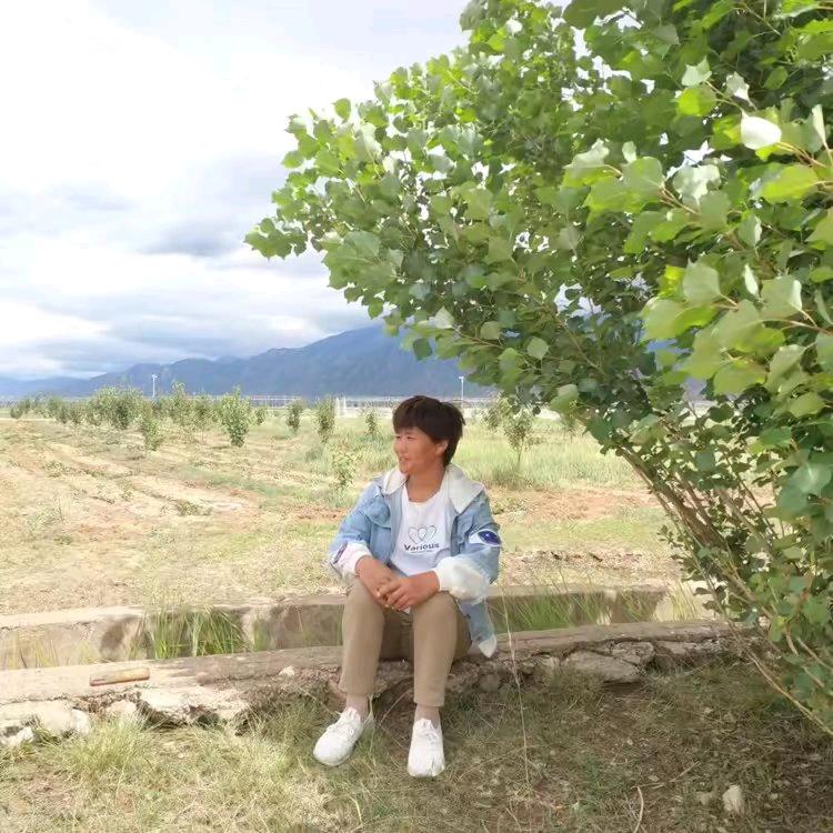 四季花开🌹🌹