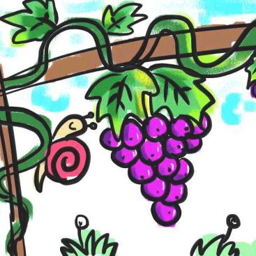 🍇🍇🍇🍇