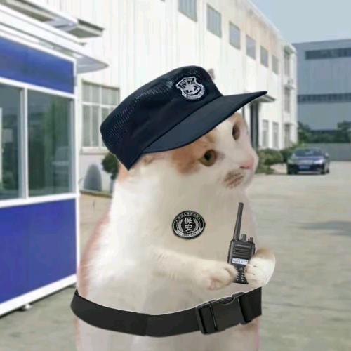 是曜曜不是耀耀