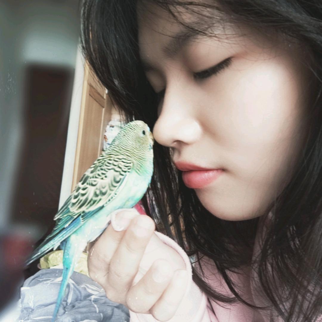 農辰