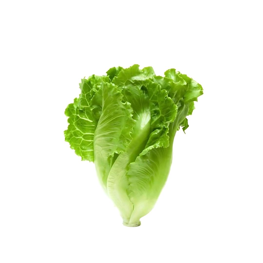 紧到长不丑。