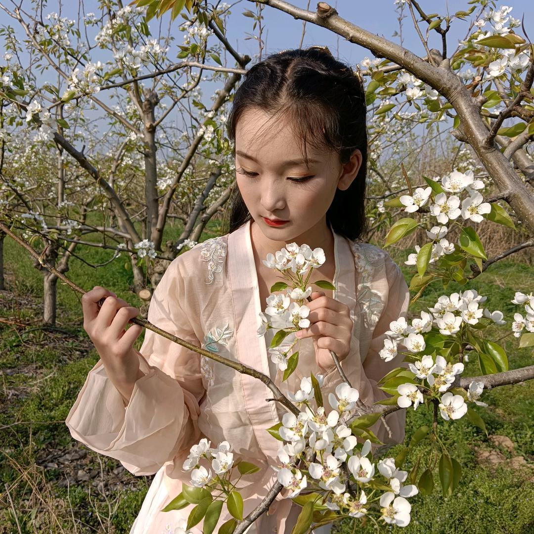 茉莉歌曲