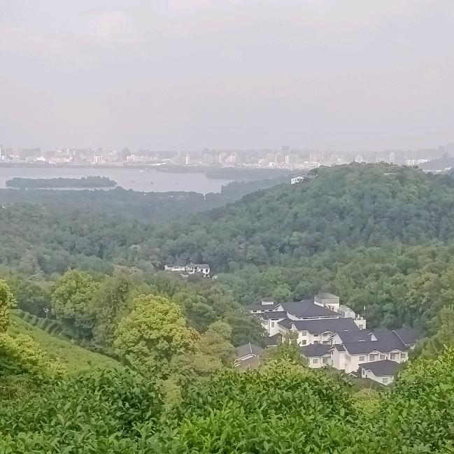 执笔画流年