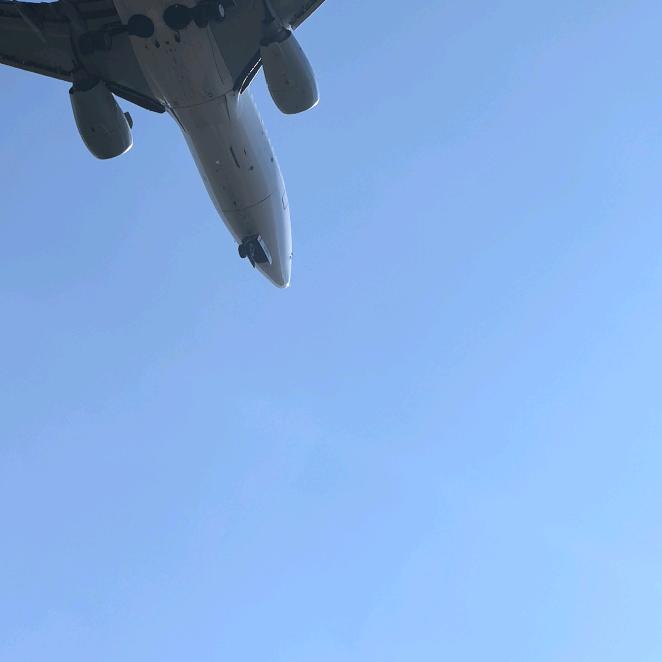 🐬🐬🐬🐬🐬🐬🐬🐬