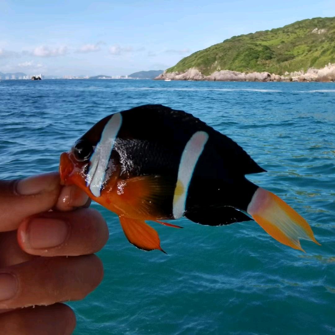 双月湾 小刘