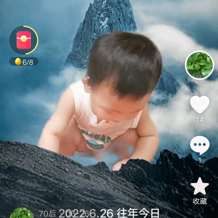 70年的狗狗